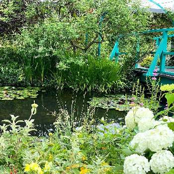 西武池袋の空中庭園の画像 by ひろりん♪さん | iPhone撮影と西武池袋の空中庭園