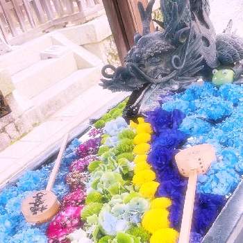 紫 陽 花の画像 by pa´tiさん | 花手水と紫 陽 花とアジサイꕤウィーク