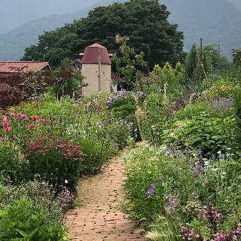 山手七福神で巡る植物の画像