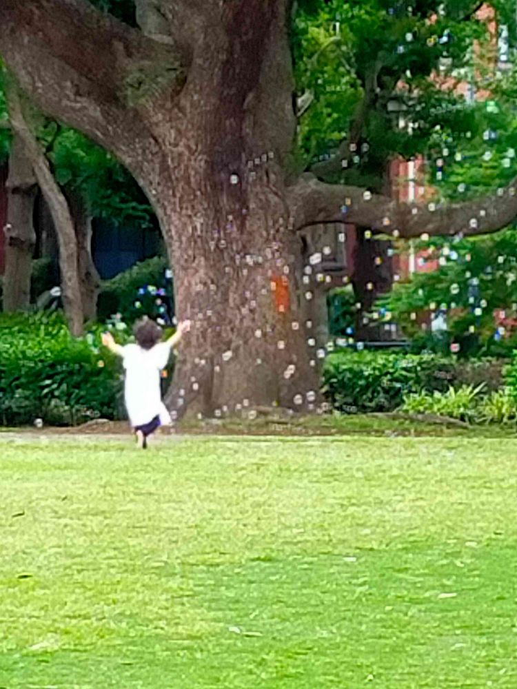 とりさんの山下公園への投稿