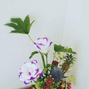 華道の画像 by てーちゃんさん | 階段/廊下とミニパインとフラワーアレンジメントと華道といけばなと花のある暮らし