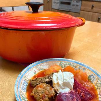 ビーツ の投稿画像一覧 Greensnap グリーンスナップ