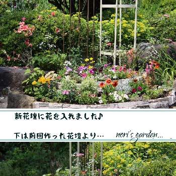 ほっこり♡の画像 by noriさん | エクステリアとお花大好き♡とずくだせ信州と花壇とほっこり♡とマイガーデンとはなのある暮らしと我が家の花壇とチーム長野と花のある暮らしとお花好き