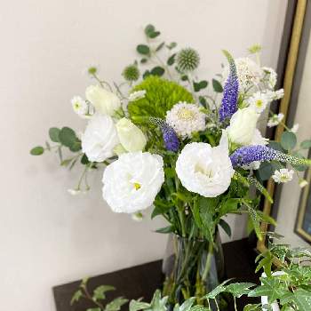 記念日の画像 by ༚˚✧₊⁎ HAPPIER ⁎⁺˳✧༚さん | 記念日と植物のある暮らしとプレゼントと緑の花と青い花とグリーンの花と可愛いと花のある暮らしとブルーの花と白い花と花束
