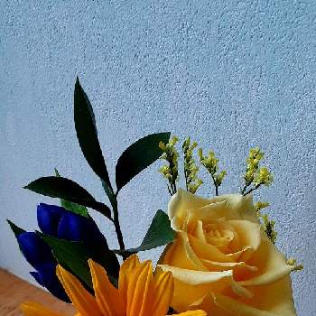 ルスカスの画像 by くずみさん | 窓辺とリンドウとハイブリットチースとルスカスとバラとひまわりとりんどう♡とお花のサブスクと花のある暮らしと大好き♡︎ʾʾと薔薇♪と向日葵♡