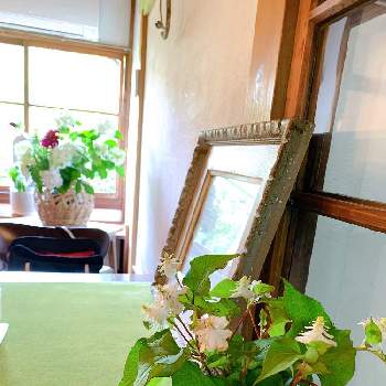 カフェの画像 by yu.さん | インテリアとドクダミの花と花のある暮らしとカフェ