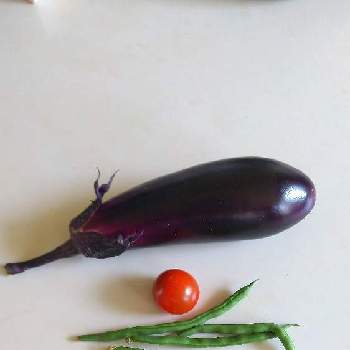 インゲン,ミニトマト,ナス,我が家の野菜,小さな庭の画像