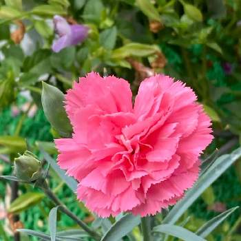 K Cg Ibiwrzwvm K Cg Ibiwrzwvm