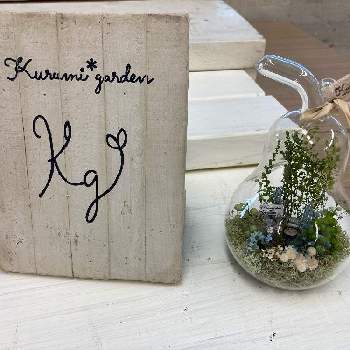 kurumi  gardenの画像 by harunohoshiさん | 部屋とドライフラワーとkurumi  gardenとドライフラワーのある暮らしと初心者とkurumiさんWSと花のある暮らしとkurumi*さんの小さな世界