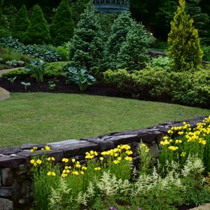 花壇,植中毒,植栽,お出かけ,花は癒やし♡の画像