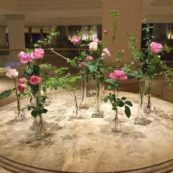 ホテルの花の画像 by ララちゃんさん | お出かけ先とバラと薔薇とホテル  ロビーとウクライナに平和をとホテルの花とpray for ukraineと横浜とホテルのロビーと平和の祈り