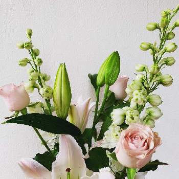 百合の花の画像 by miHoさん | インテリアとピンク系とピンクの花とホワイトと感動❗と百合の花ときれいと デルフィニウムと思わずパシャリとユリ　ゆりと花のある暮らしとかわいいとうっとりとバラ・ミニバラとホッコリ