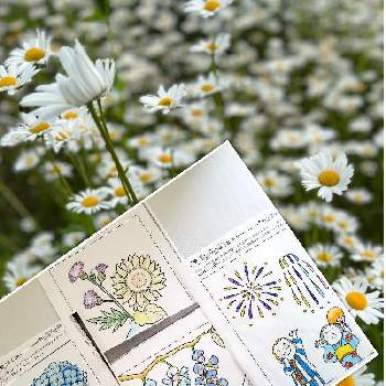 好きなお花の画像 by はなちゃんさん | 白い花とありがとうと好きなお花とマーガレットすき
