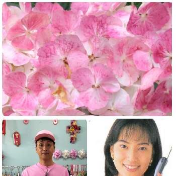 ピンク愛好会の画像 by Yoshioさん | 紫陽花とピンクワールドへようこそとピンクの紫陽花とピンクの花と言葉遊びとピンクLOVEとピンク❤︎ピンクとピンク愛好会とピンク大好きとコラボシリーズと蕾応援団と乙女色クラブとかわいいと毎日がピンクの日