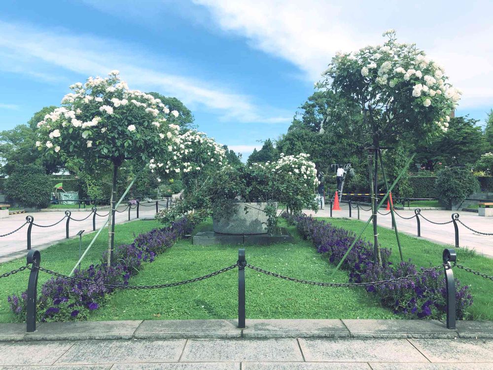 わかばさんの山下公園への投稿