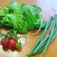 ベビーリーフ,(再生)リボベジ青ねぎ,ミニトマト,プランター菜園,プランター野菜の画像