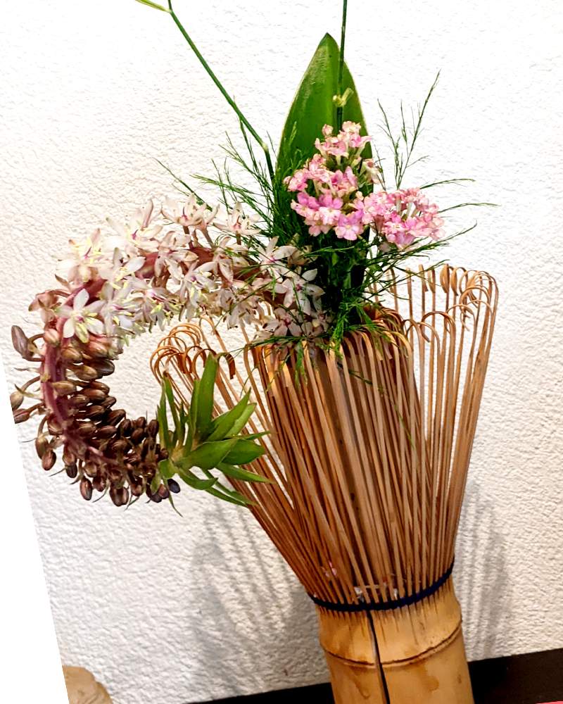 パイナップルリリーの投稿画像 By なおちゃんさん フェンネルとアスパラと玄関と花瓶 とハーブとフラワーアレンジメントとガーデニングと雑貨小物と花のある暮らしと花瓶とハーブとフラワーアレンジメントとガーデニングと雑貨小物と花のある暮らし 22月7月3日