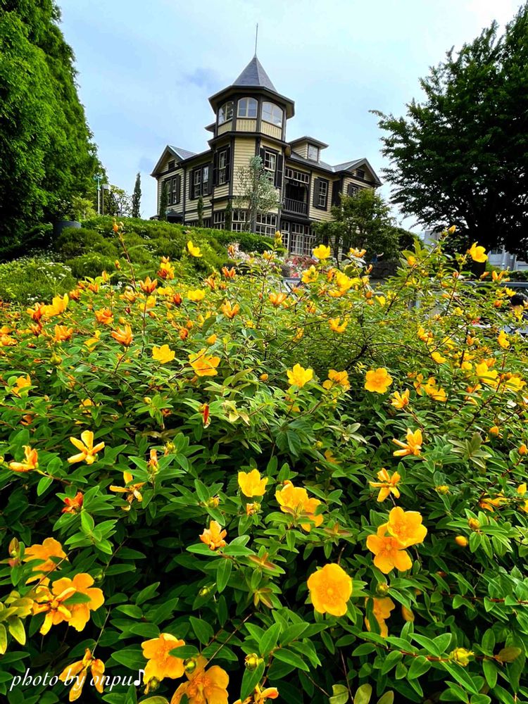 おんぷ♪さんの山手イタリア山庭園への投稿