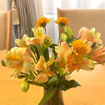 ヒメヒマワリ,アルストロメリア,近所のお花屋さん,切り花を楽しむ,花を飾るの画像