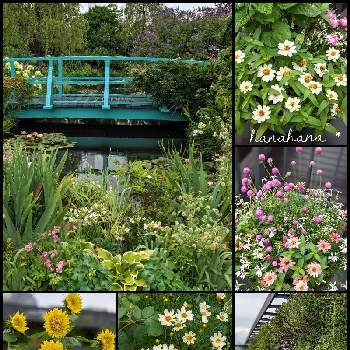 都会のオアシスの画像 by hanahanaさん | 空中庭園と都会のオアシスと癒しと素敵な空間と季節のお花と花好きと屋上庭園