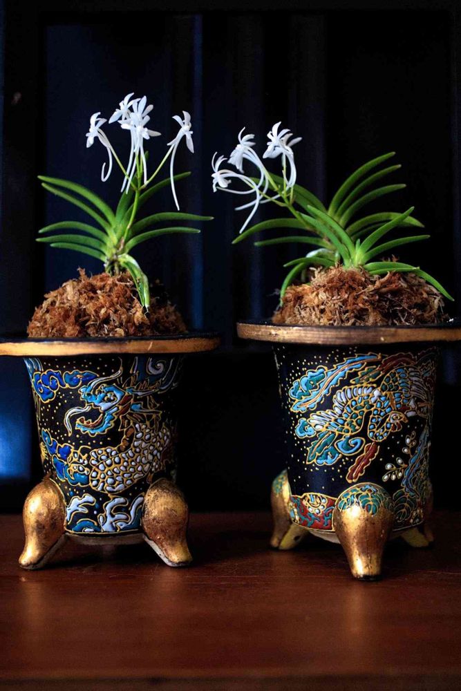 万年青鉢 蘭鉢 金彩色絵『荒海人物図』植木鉢 三つ足 背負わ 錦