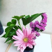 ブルーミー(bloomee),お花の定期便,花のサブスク,花活,ブーケの画像