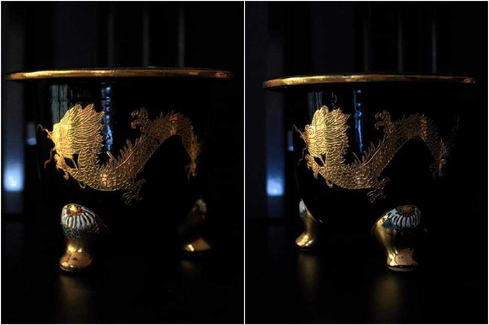 古典園芸に魅せられて｜🍀GreenSnap（グリーンスナップ）