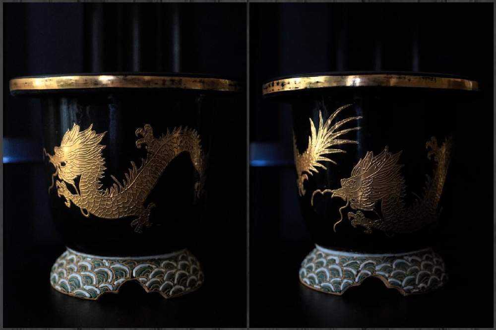 古典園芸に魅せられて｜🍀GreenSnap（グリーンスナップ）