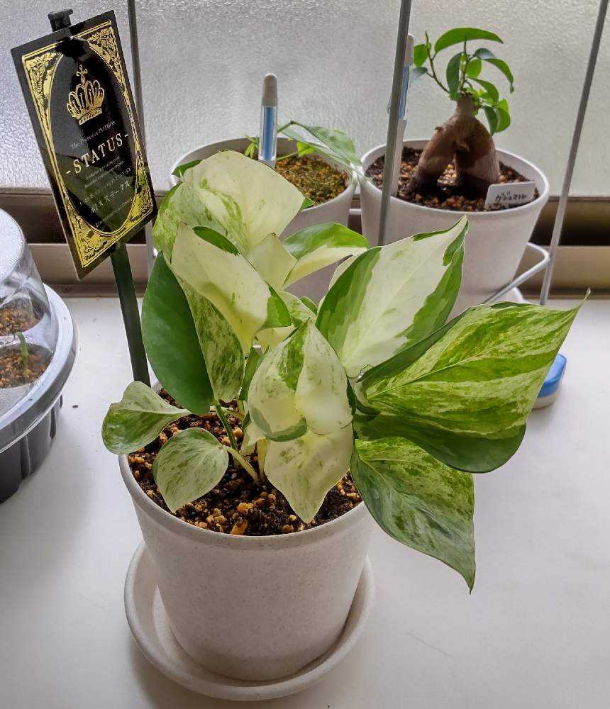 1657262254844_thum_691128_2022