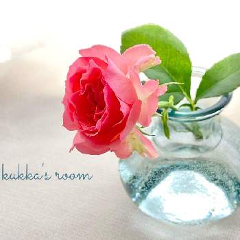 花瓶合わせの画像 by kukkaさん | 部屋とバラとスーパーマーケットの花と癒しと切り花を楽しむと花を飾ると穏やかな心と金曜ローズショーとナチュラルスタイルと花のある暮らしと花瓶合わせと切り花