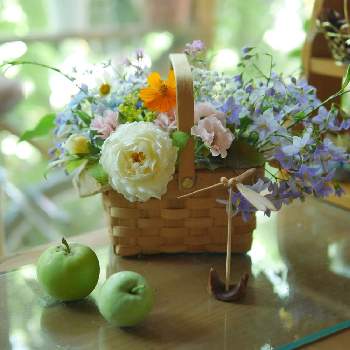 ゆみさんのバラ遊びの画像 by 由美子さん | 窓辺とツルハナナスとゆみさんのバラ遊びとLUMIX gf7とF1.6と庭の花でアレンジとパナライカ25mmとゆみさんの家あそびと美しく青きドヨウとミラーレス一眼