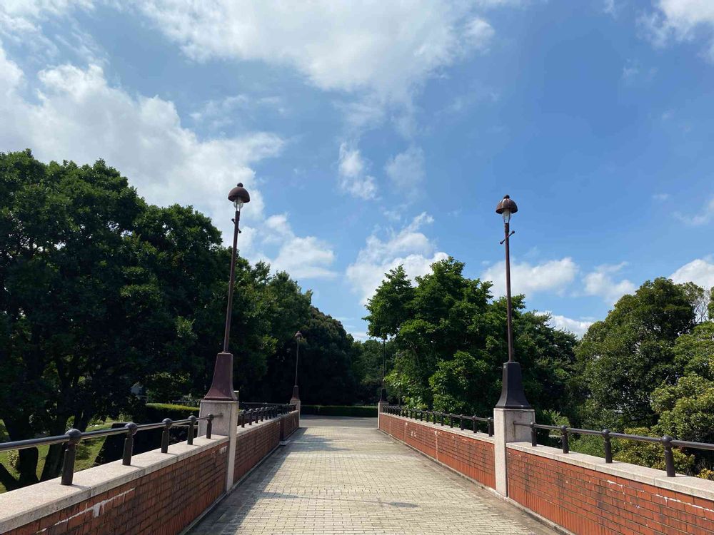 ピノ太郎さんの港の見える丘公園への投稿