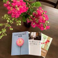 サルスベリ,ピンクの花,おうち園芸,東北人花の会,２０２０年５月同期の画像
