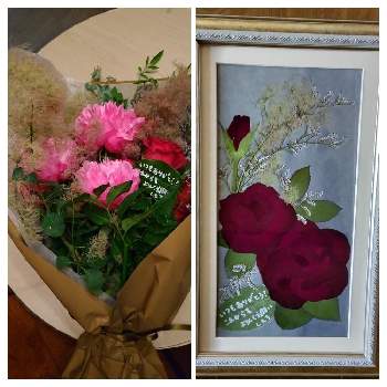 感謝の花束の投稿画像一覧 Greensnap グリーンスナップ