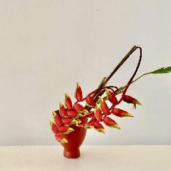 ハワイアン スタイルの画像 by ohanamakihawaiiさん | インテリアとハンギングヘルコニアと#トロピカルフラワーと#トロピカル　＃エキゾティックフラワーと花が好きと＃花のある暮らしと#フワラーアレンジとハワイアン スタイルとハワイの植物とヘルコニア！と フラワーアレンジと自由花とハワイと花のある暮らし