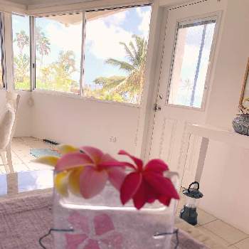 ハワイの画像 by ohanamakihawaiiさん | 窓辺と＃花のある暮らしと#フワラーアレンジと#トロピカルフラワーと＃ハワイと＃プルメリアとハワイとハワイアン スタイル