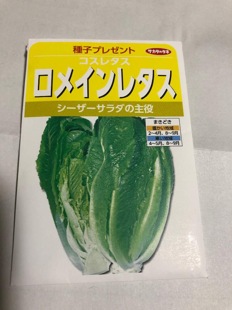 イタリア野菜 ロメインレタス種から育てます Greensnap グリーンスナップ