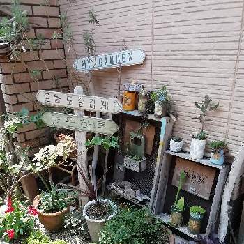 Sfq5fsjx6jndsm