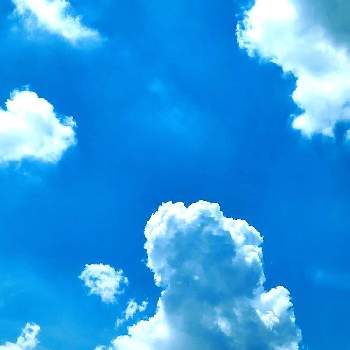 チーム東京の画像 by かのんさん | お出かけ先とチーム東京とGSの皆さまに感謝♡と雲仲間となつと２０２０年５月同期と青空と雲と平和を願う☆