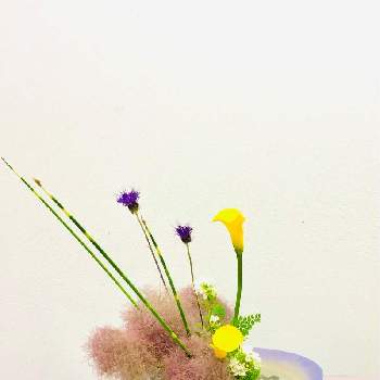 Jy3istd3efmnwm Jy3istd3efmnwm