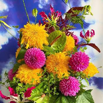 こころを花にかえての画像 by メルシーフラワーさん | 窓辺とスーパーマーケットの花とスーパーの切花とハナカジとメルシーフラワーとフラワーアレンジメントと花のある暮らしとこころを花にかえて