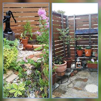 花壇作りの画像 by ガイトムさん | 花壇作りと花好きと私の庭とガーデニングとフェンス設置