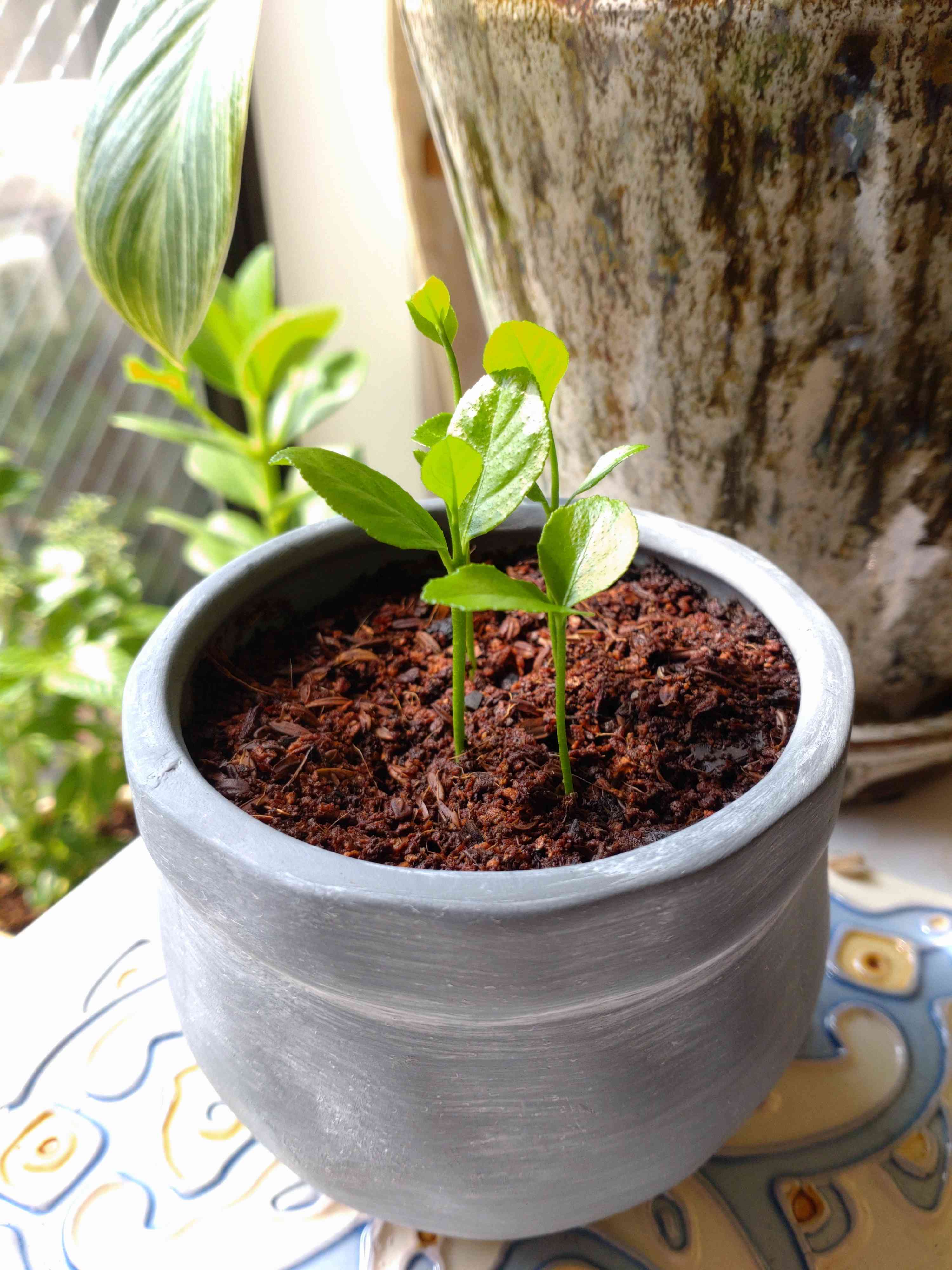 1659183366413_73284_20220730_2