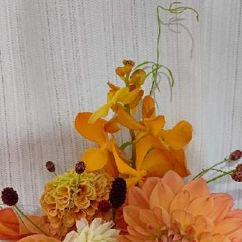 花束,オレンジ,披露宴の画像