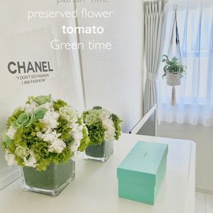 プラントハンガー,お部屋に花を,プリザーブドフラワー♡,ミニドラゴンフルーツ。,映画の日の画像