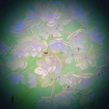 お花の夢♪の画像 by 秋草さん | グリーンアクセサリー♪とお花の夢♪
