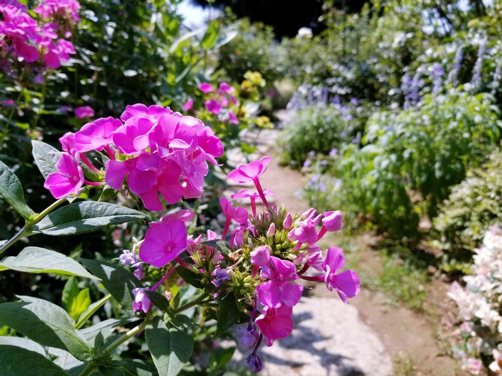 エリィさんの港の見える丘公園への投稿