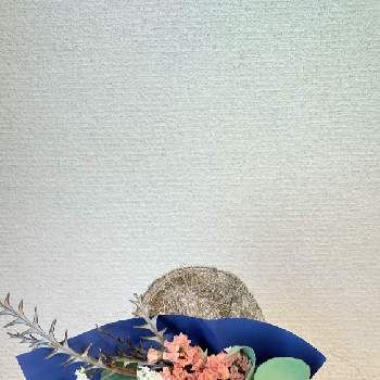 ルリタマアザミ＊の画像 by Jun.cyさん | 部屋と世界平和とSunfIowerFromJapanと8月と戦争反対とユーカリ♡とルリタマアザミ＊と平和を願う☆とドライフラワーミニ花束とスターチス♪