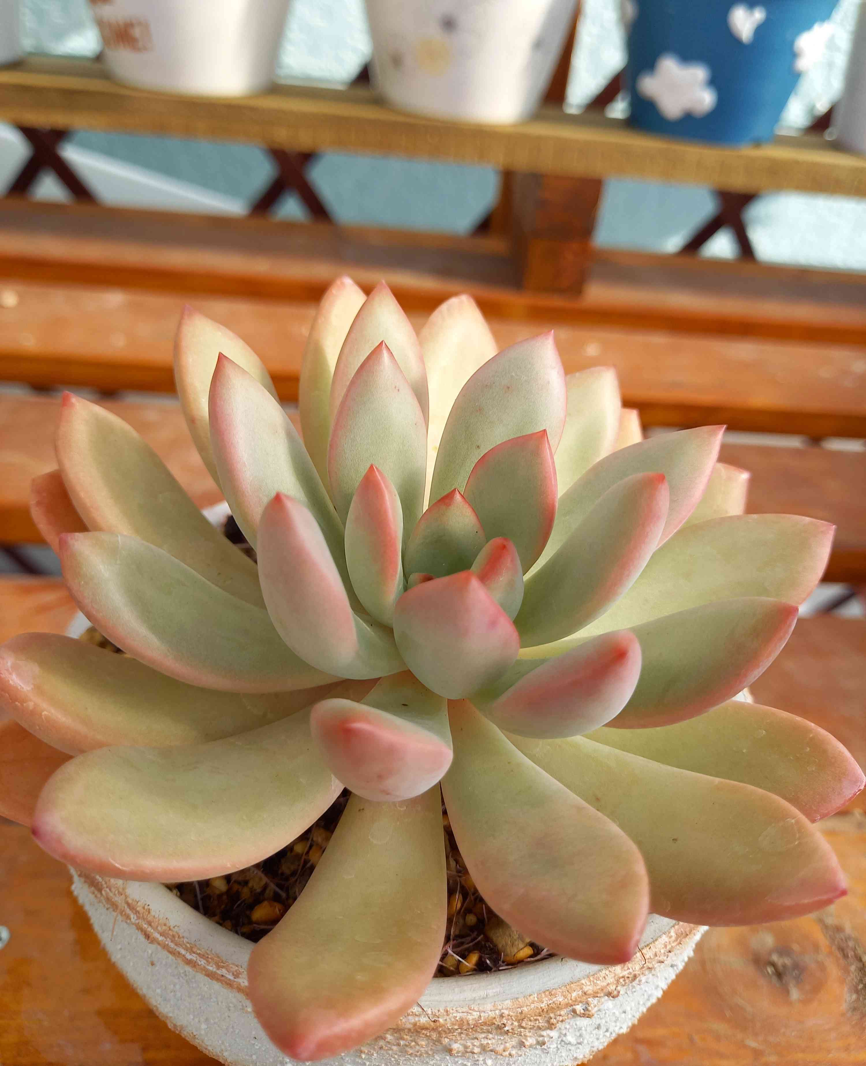 1659755416380_490484_20220806_