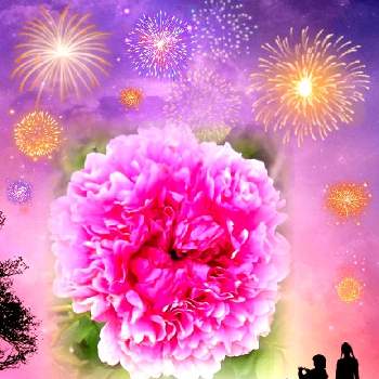 美しい花の画像 by ひみつのアッコちゃんさん | 四季咲き大輪バラ　十六夜薔薇と我が家の花畑と爽やかな花と可愛い花とバラ大好きと私のオアシスと花のある生活とマイガーデンと美しい花と元気な花と夏バラの楽しみと加工アプリ使用と大好きな花と花を見る喜びと私のお気に入りと地植えの花
